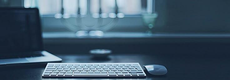 Web app development workspace